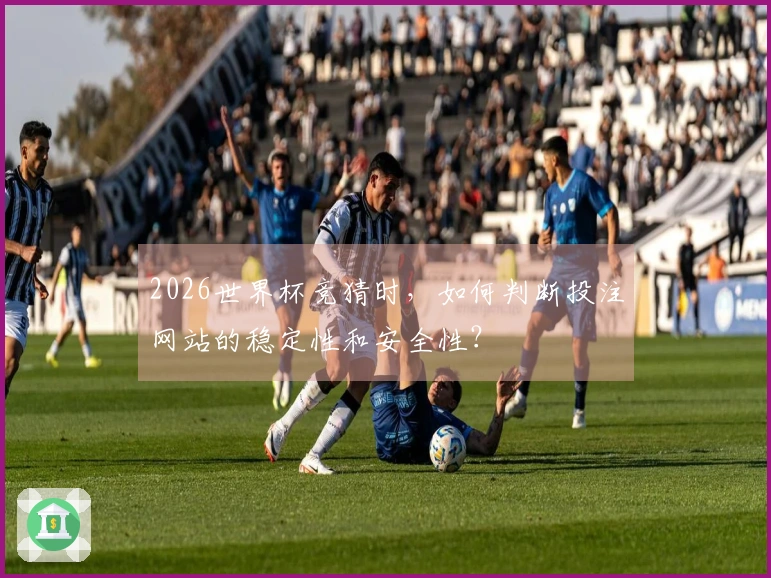 2026世界杯竞猜时，如何判断投注网站的稳定性和安全性？