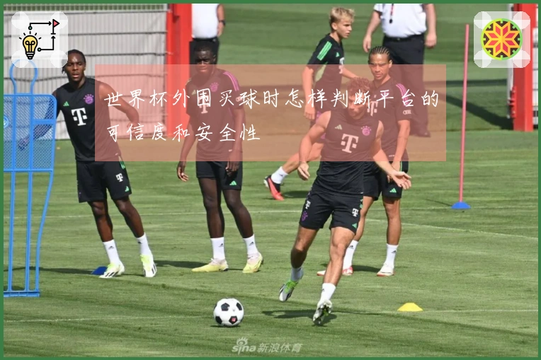 世界杯外围买球时怎样判断平台的可信度和安全性