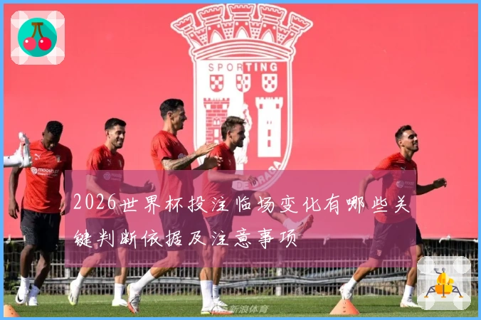 2026世界杯投注临场变化有哪些关键判断依据及注意事项