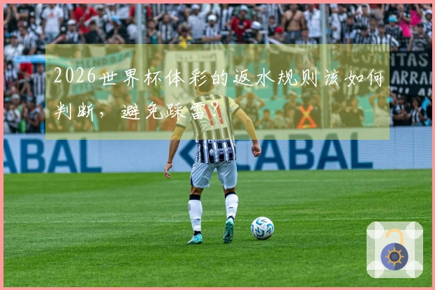 2026世界杯体彩的返水规则该如何判断，避免踩雷？