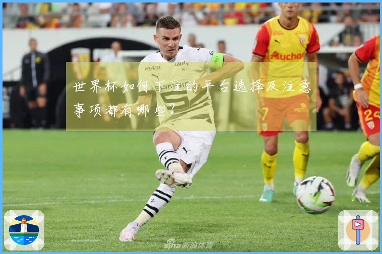 世界杯如何下注的平台选择及注意事项都有哪些？