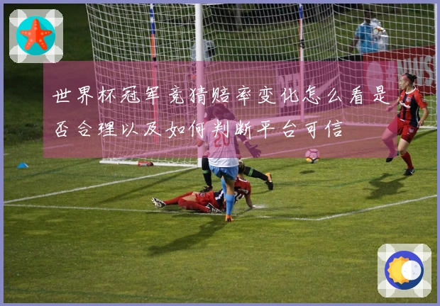 世界杯冠军竞猜赔率变化怎么看是否合理以及如何判断平台可信