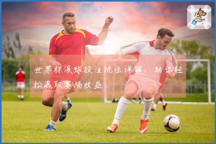 世界杯滚球投注玩法详解，助你轻松赢取赛场收益