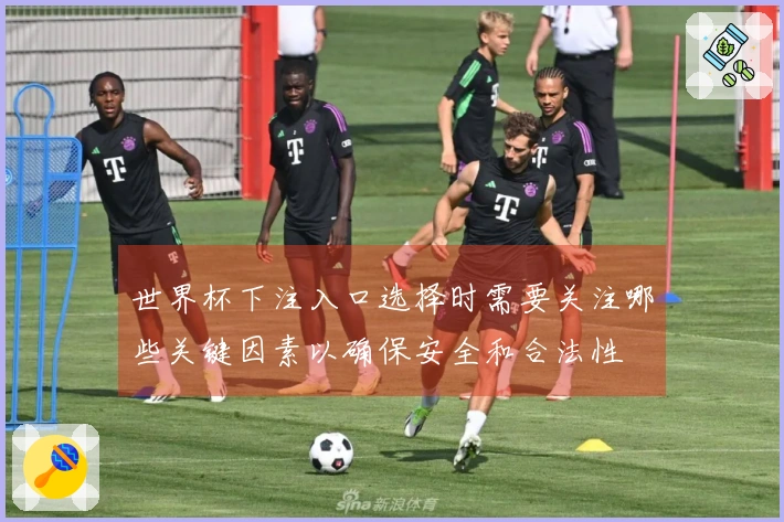 世界杯下注入口选择时需要关注哪些关键因素以确保安全和合法性