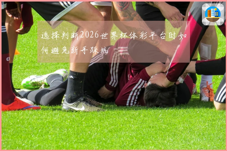 选择判断2026世界杯体彩平台时如何避免新手踩坑