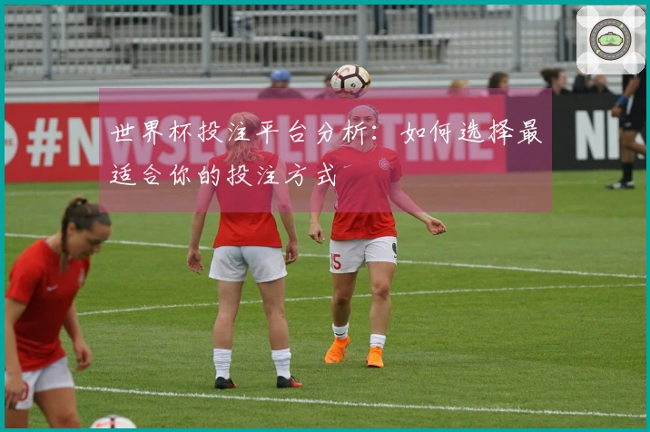 世界杯投注平台分析：如何选择最适合你的投注方式