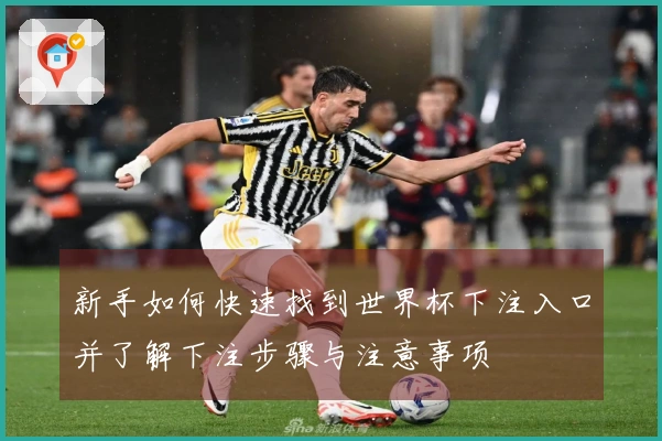 新手如何快速找到世界杯下注入口并了解下注步骤与注意事项