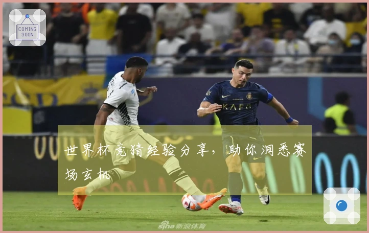 世界杯竞猜经验分享，助你洞悉赛场玄机