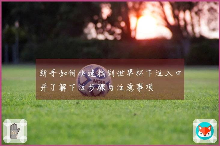 新手如何快速找到世界杯下注入口并了解下注步骤与注意事项