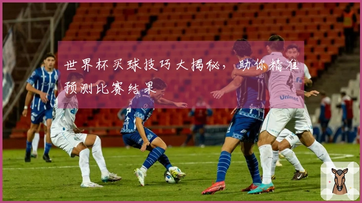 世界杯买球技巧大揭秘，助你精准预测比赛结果