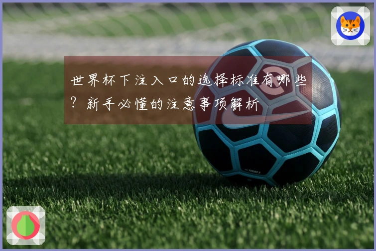世界杯下注入口的选择标准有哪些？新手必懂的注意事项解析