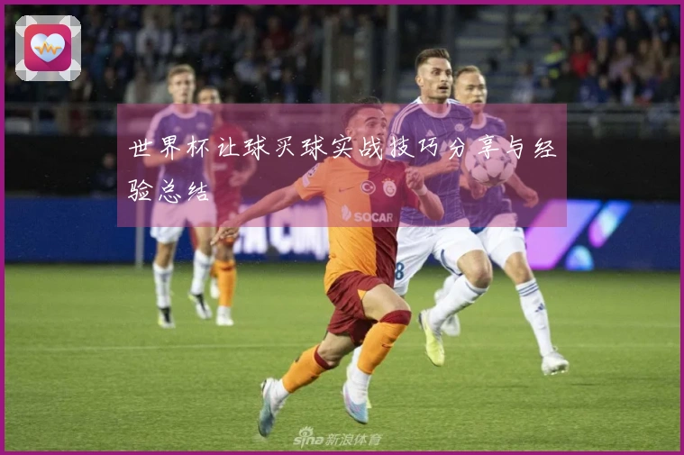世界杯让球买球实战技巧分享与经验总结