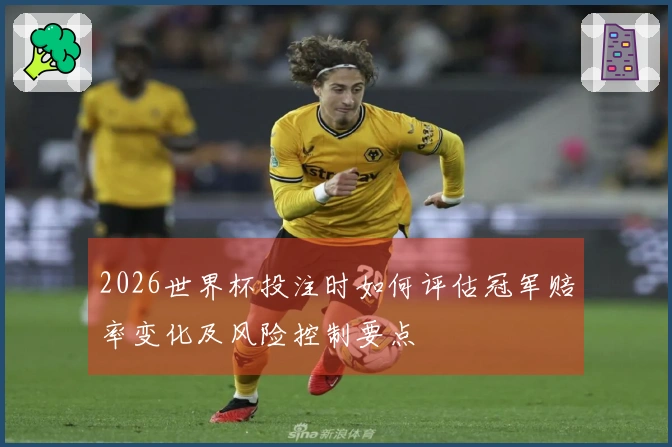 2026世界杯投注时如何评估冠军赔率变化及风险控制要点