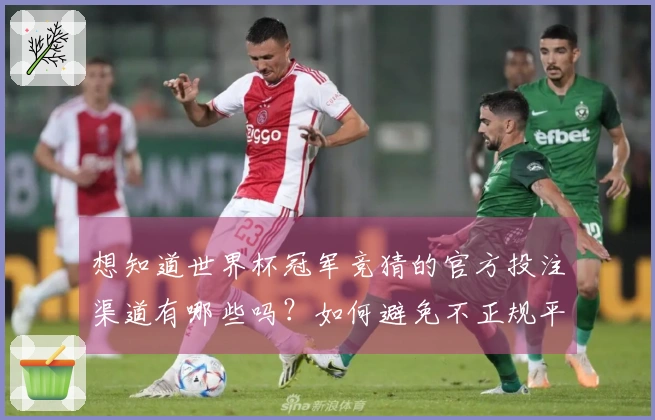 想知道世界杯冠军竞猜的官方投注渠道有哪些吗？如何避免不正规平台陷阱？