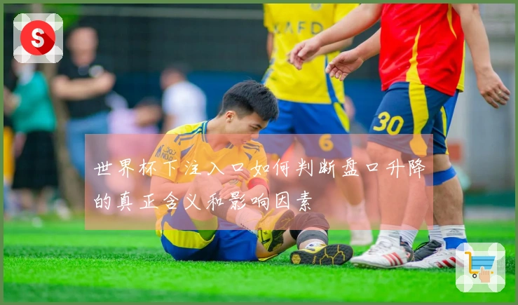 世界杯下注入口如何判断盘口升降的真正含义和影响因素