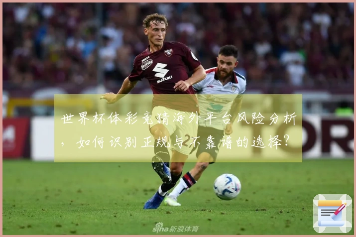 世界杯体彩竞猜海外平台风险分析，如何识别正规与不靠谱的选择？
