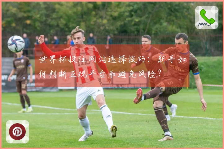 世界杯投注网站选择技巧：新手如何判断正规平台和避免风险？