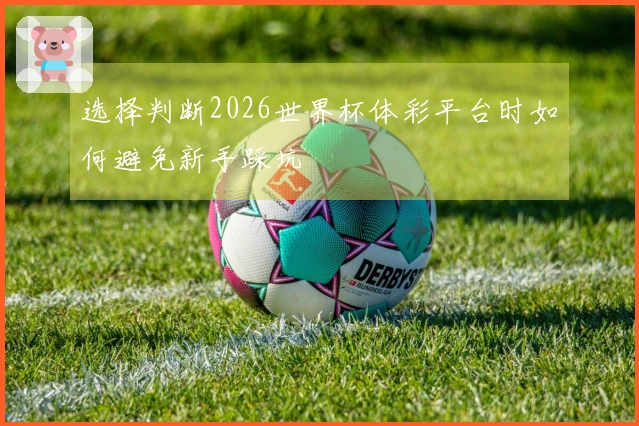 选择判断2026世界杯体彩平台时如何避免新手踩坑
