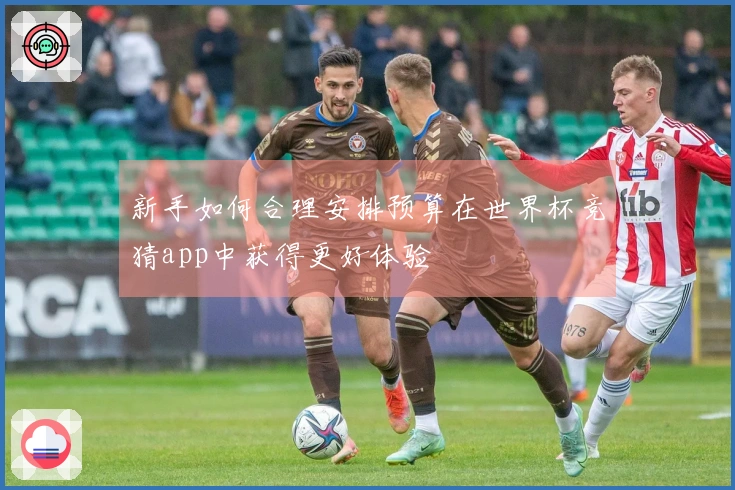 新手如何合理安排预算在世界杯竞猜app中获得更好体验