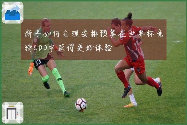 新手如何合理安排预算在世界杯竞猜app中获得更好体验