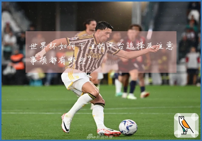 世界杯如何下注的平台选择及注意事项都有哪些？