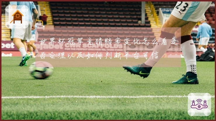 世界杯冠军竞猜赔率变化怎么看是否合理以及如何判断平台可信