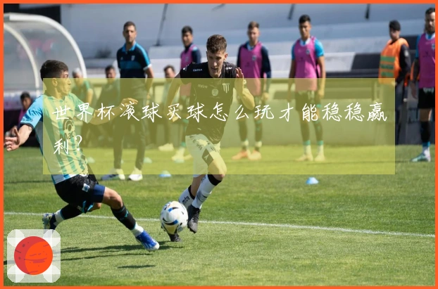 世界杯滚球买球怎么玩才能稳稳赢利？