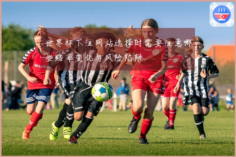世界杯下注网站选择时需要注意哪些赔率变化与风险陷阱