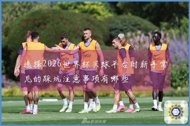 选择2026世界杯买球平台时新手常见的踩坑注意事项有哪些