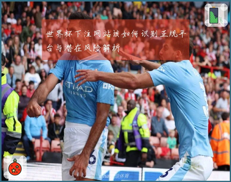 世界杯下注网站该如何识别正规平台与潜在风险解析