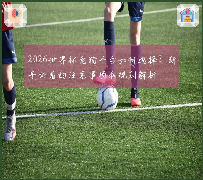 2026世界杯竞猜平台如何选择？新手必看的注意事项和规则解析